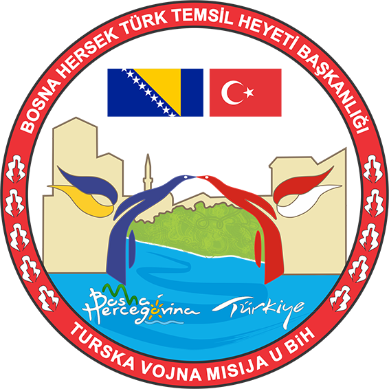 LOGO transparent