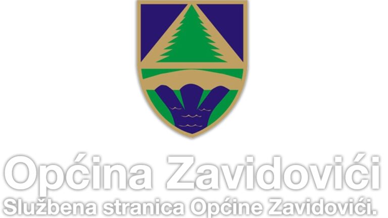zavidovici (1)